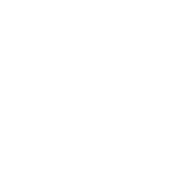 WPF / WinForms
