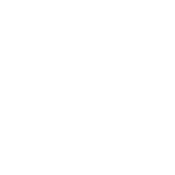 AI Engineering