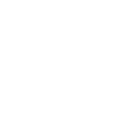 IT Assets Management